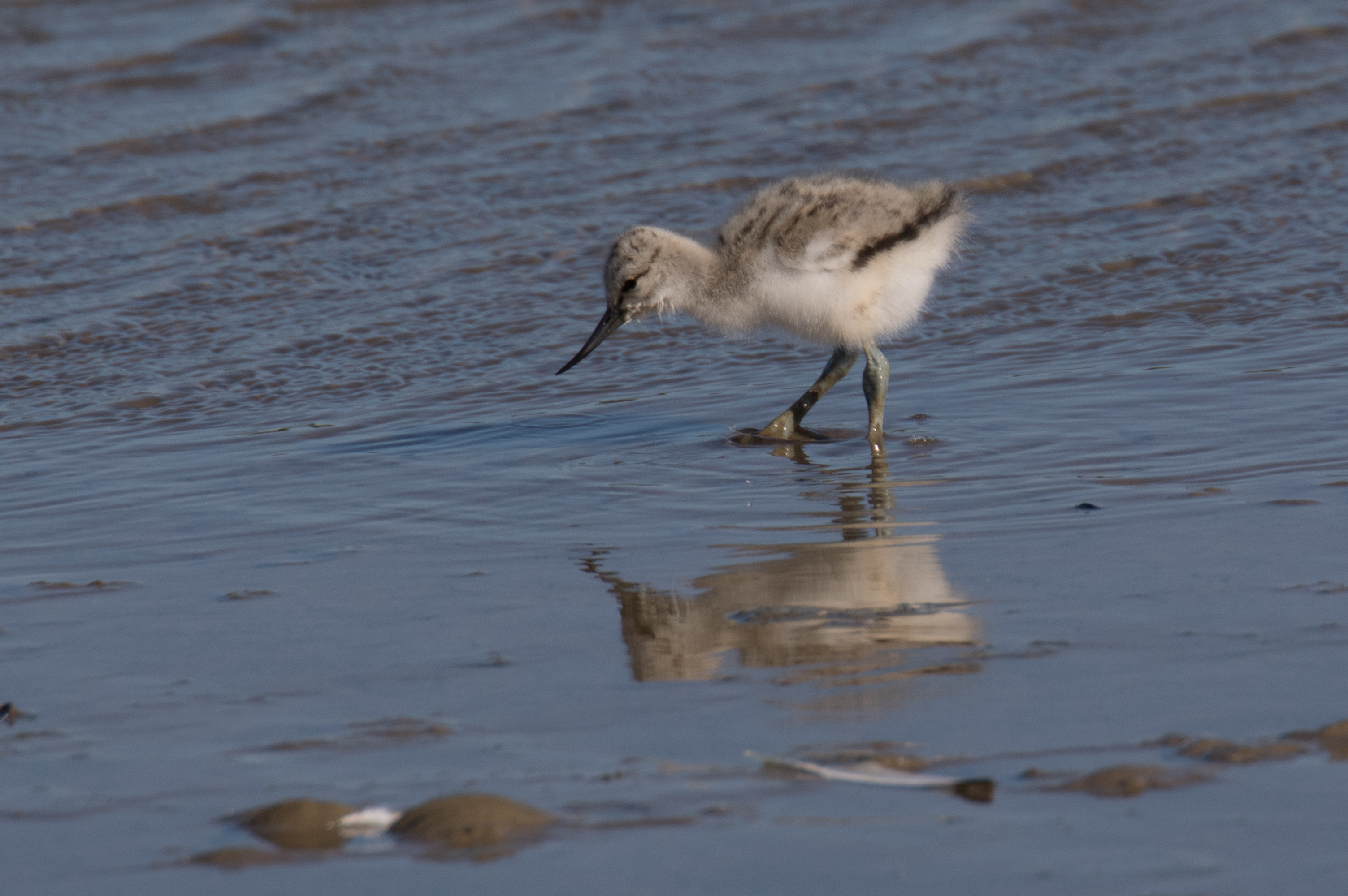 18530948971_b784023765_o