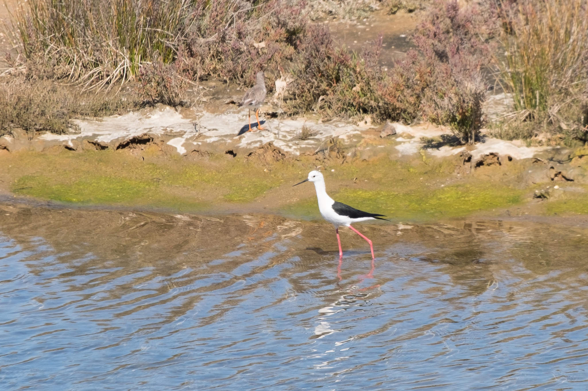 24935002524_03560b26b0_k