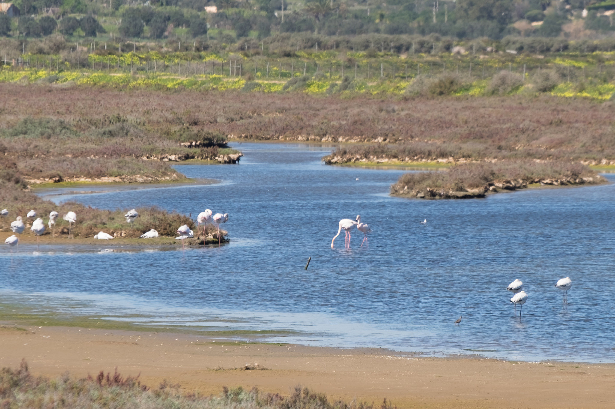 25208096110_ebb755b40d_k