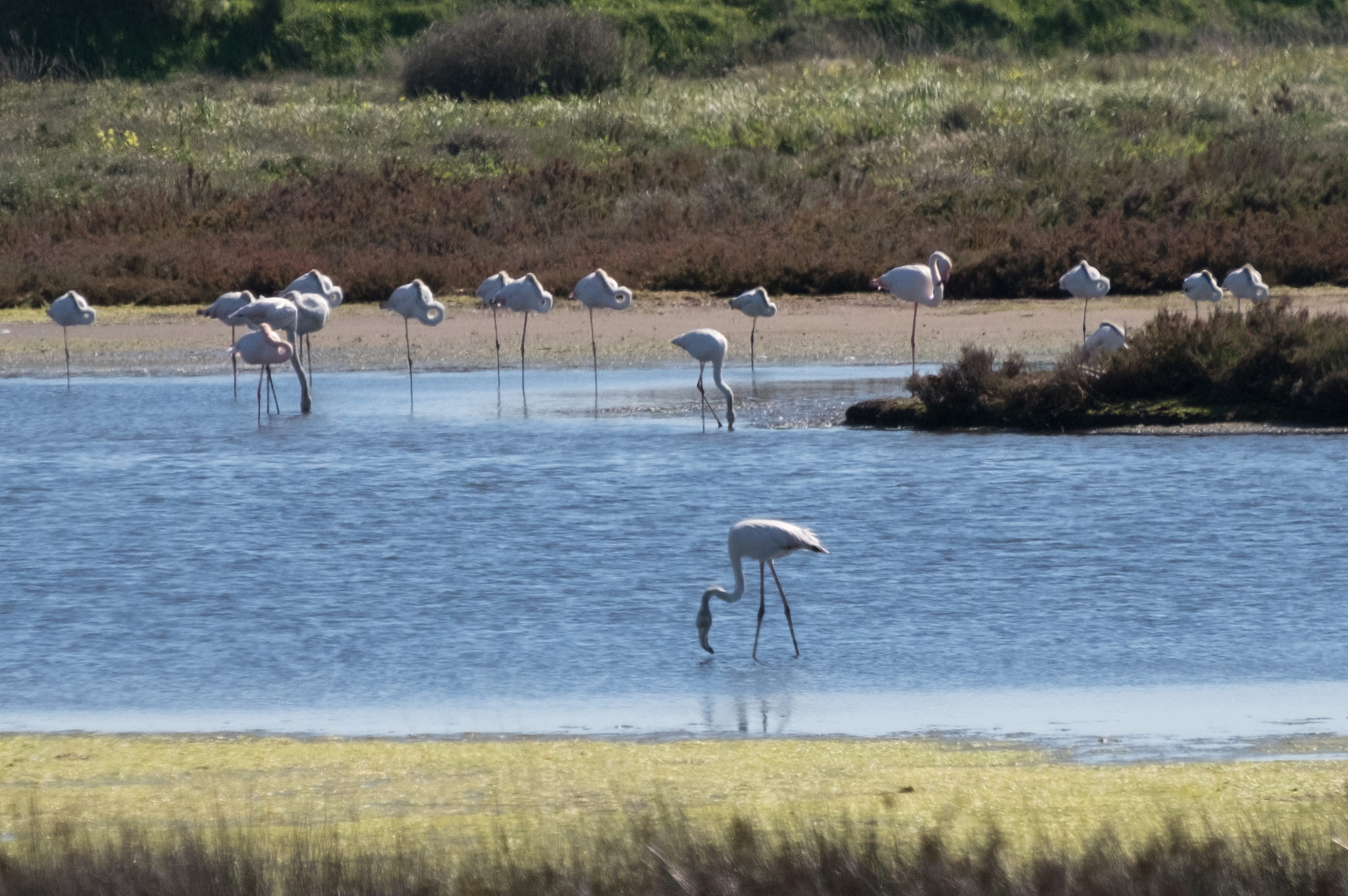 25385271952_862223a947_k