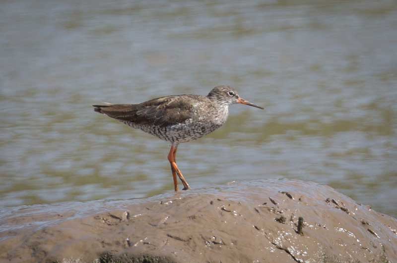 23rd August 2016 – New&nbsp;Passage