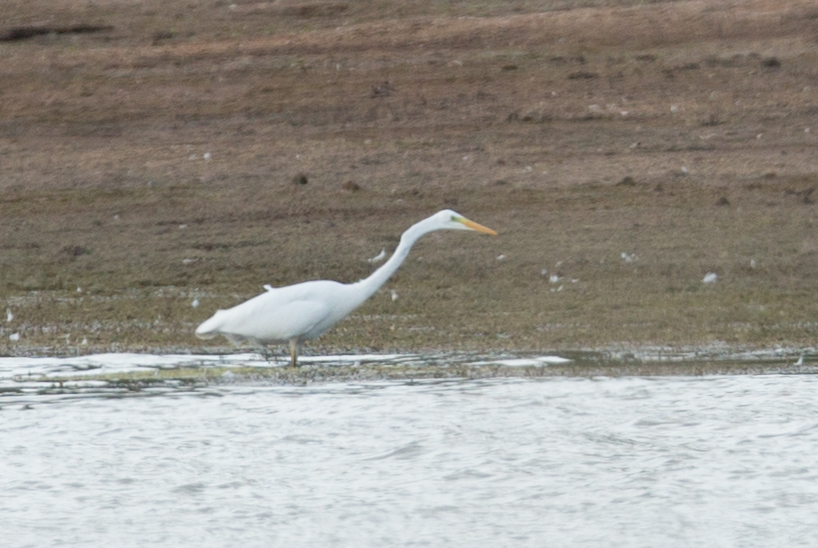 24th September 2016 Eastville Park and Chew&nbsp;Valley
