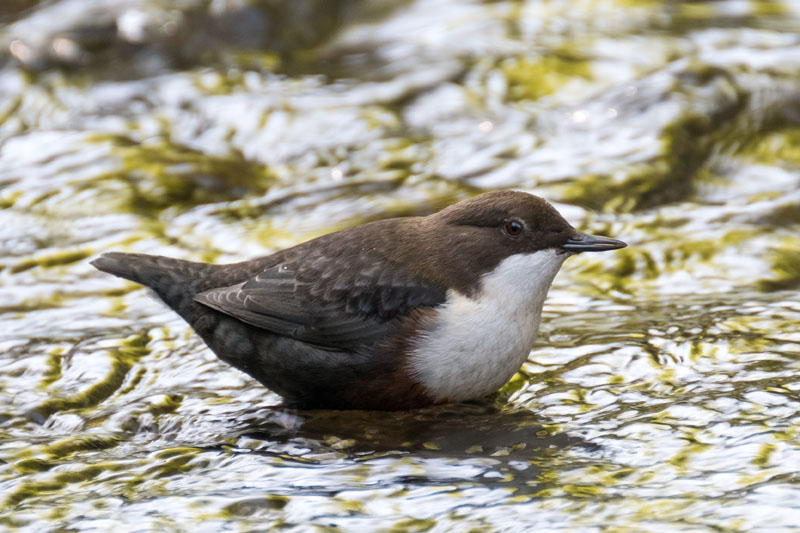 11th October 2016 – Eastville&nbsp;Park