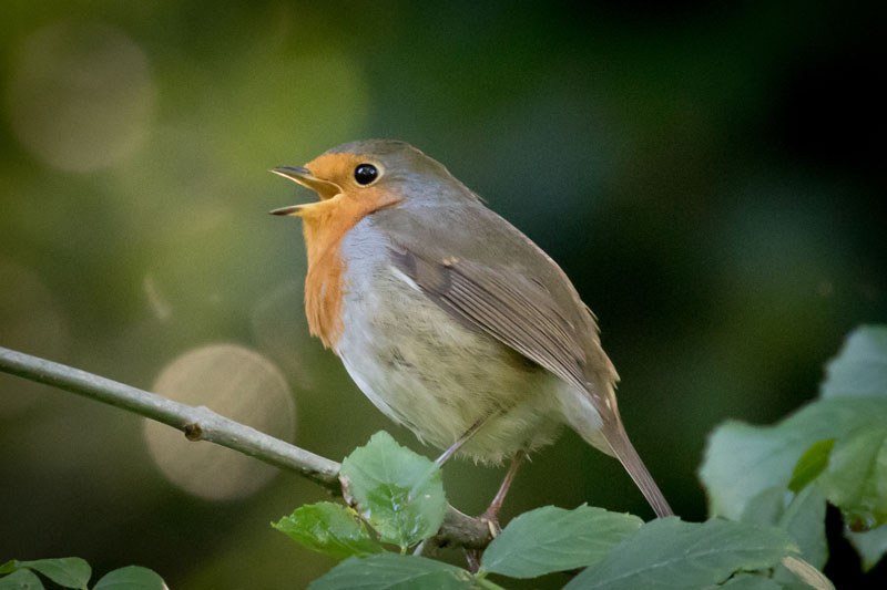 30th September 2016 – Frome&nbsp;Valley