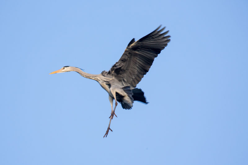 26th December – Eastville&nbsp;Park