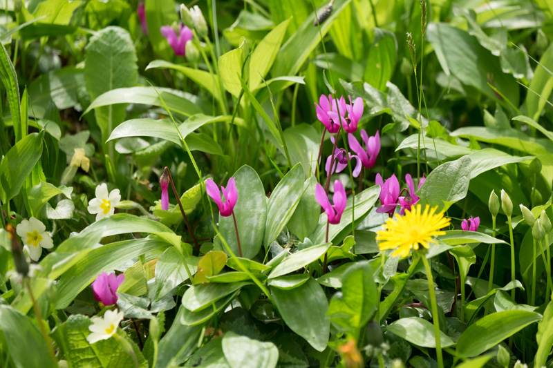 16th April 2017 – Easter Sculpture Festival and Quilting&nbsp;Exhibition