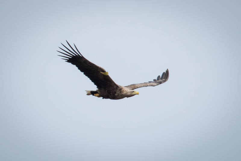 12th -24th May – trip to Inner&nbsp;Hebrides