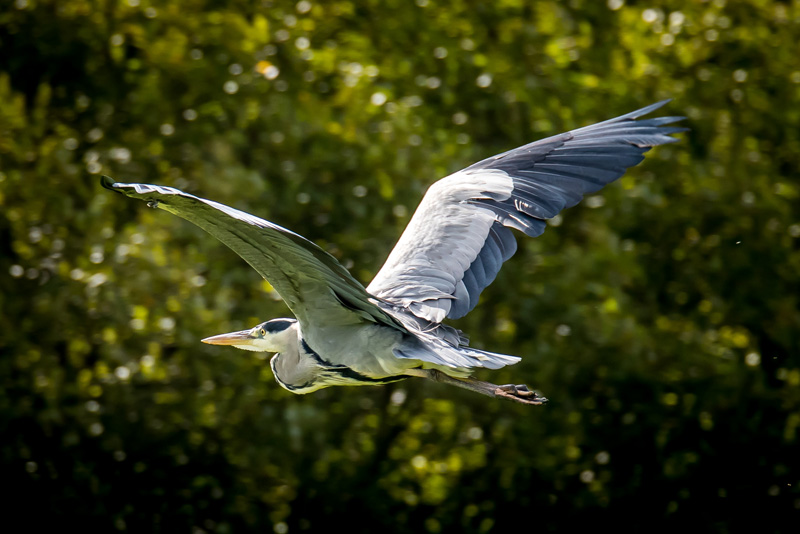 9th September 2017 – Stoke Park,&nbsp;Bristol