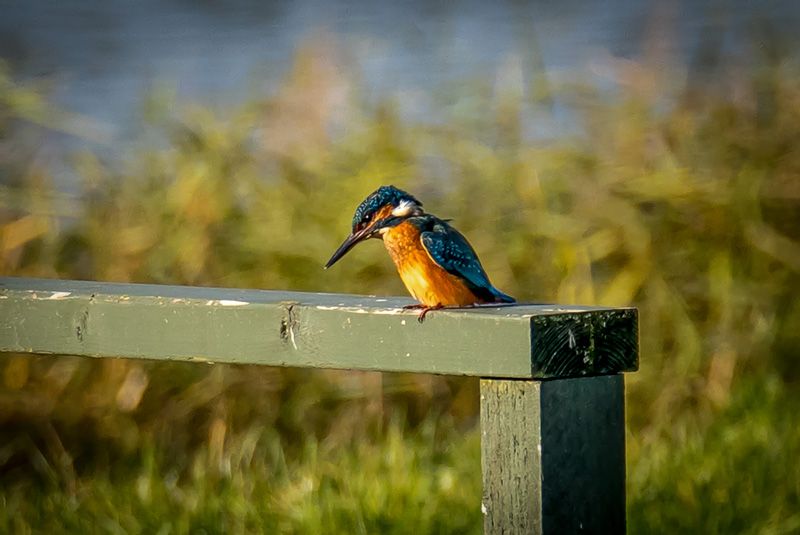 16th November 2017 – Stoke Park Estate,&nbsp;Bristol