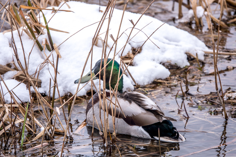 18th March 2018 – Stoke Park Estate,&nbsp;Bristol
