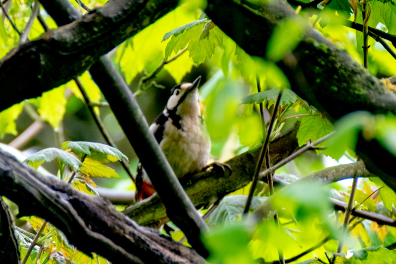 27th April 2018 – Stoke Park, Bristol