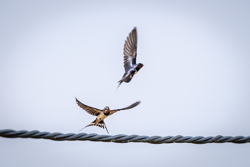 13th July 2018 – Severn&nbsp;Estuary