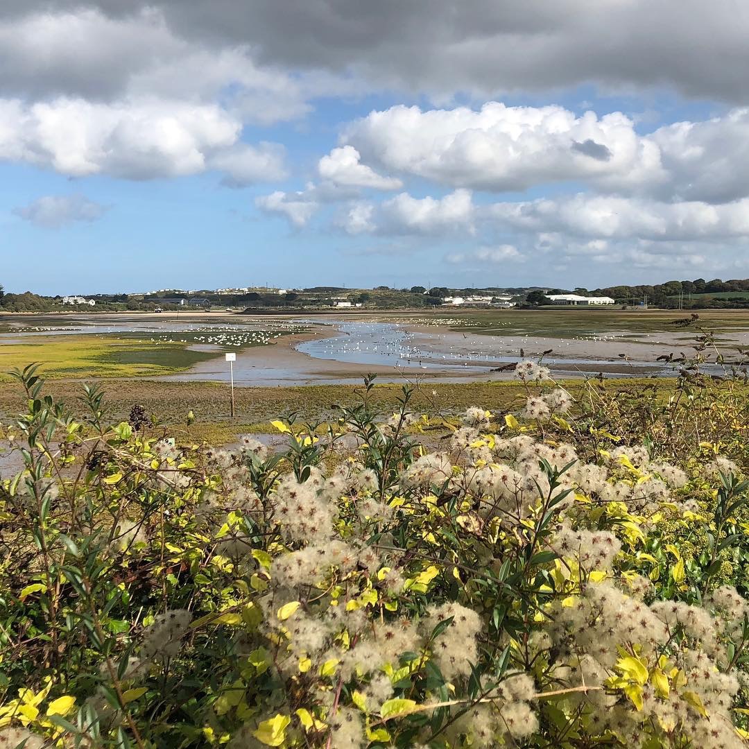 8B5400DF-719F-4D7C-9F63-EF2FAB870047