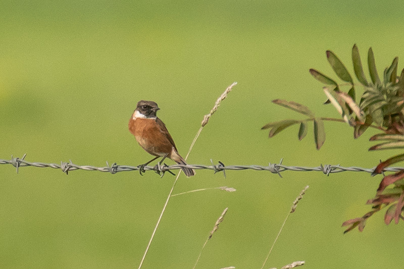 8th October 2018 – Stoke Park Estate,&nbsp;Bristol