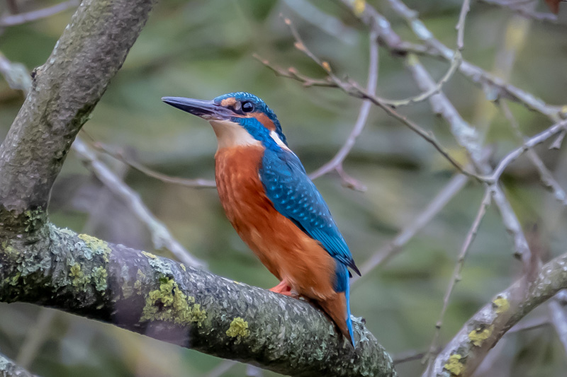 30th November 2018 – Eastville&nbsp;Park