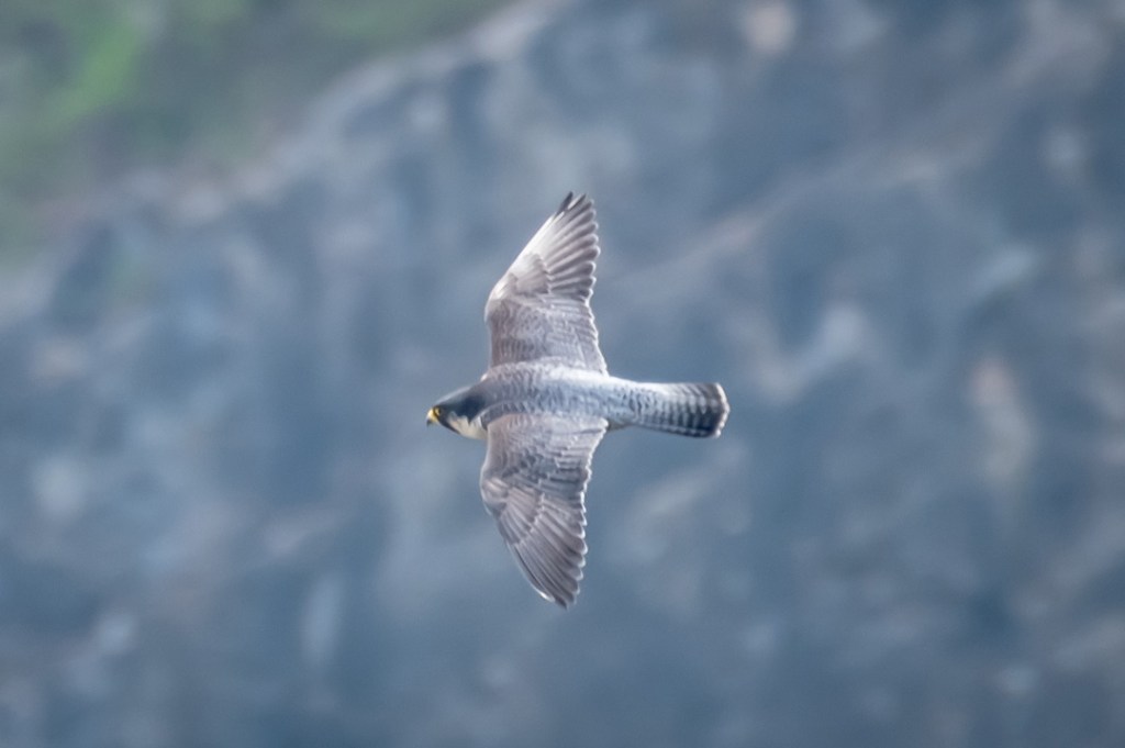 17th April 2019 – Avon Gorge,&nbsp;Bristol