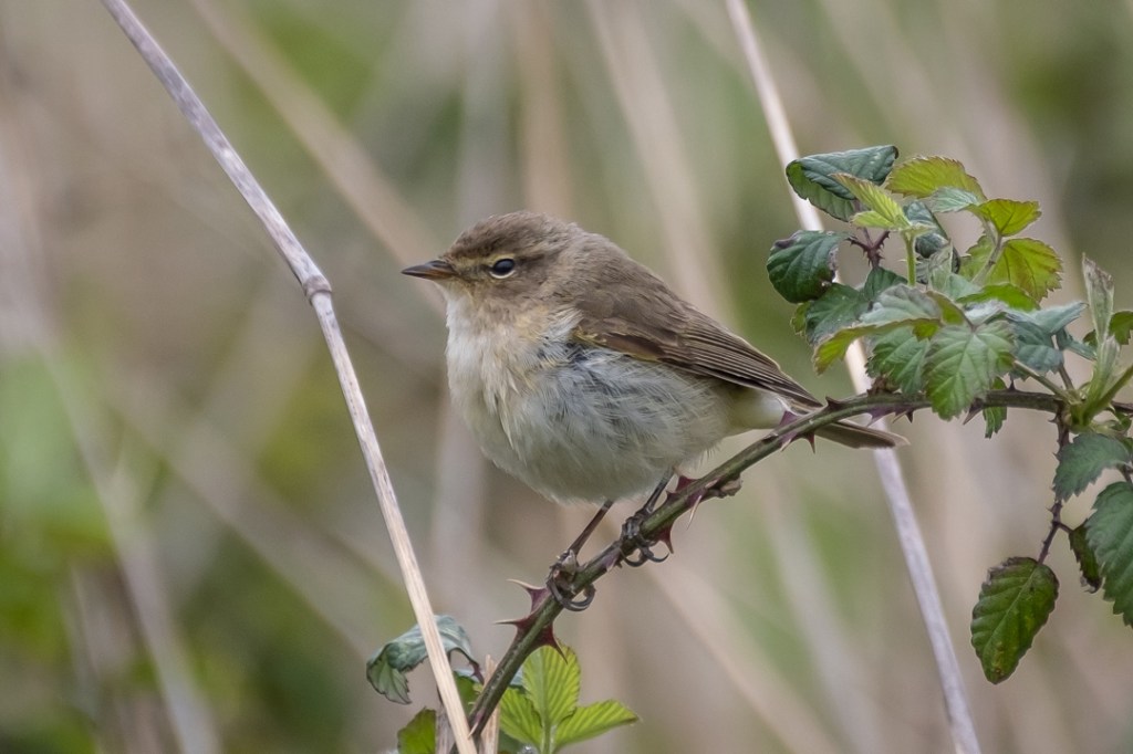 24th April 2019 – Stoke Park Estate,&nbsp;Bristol