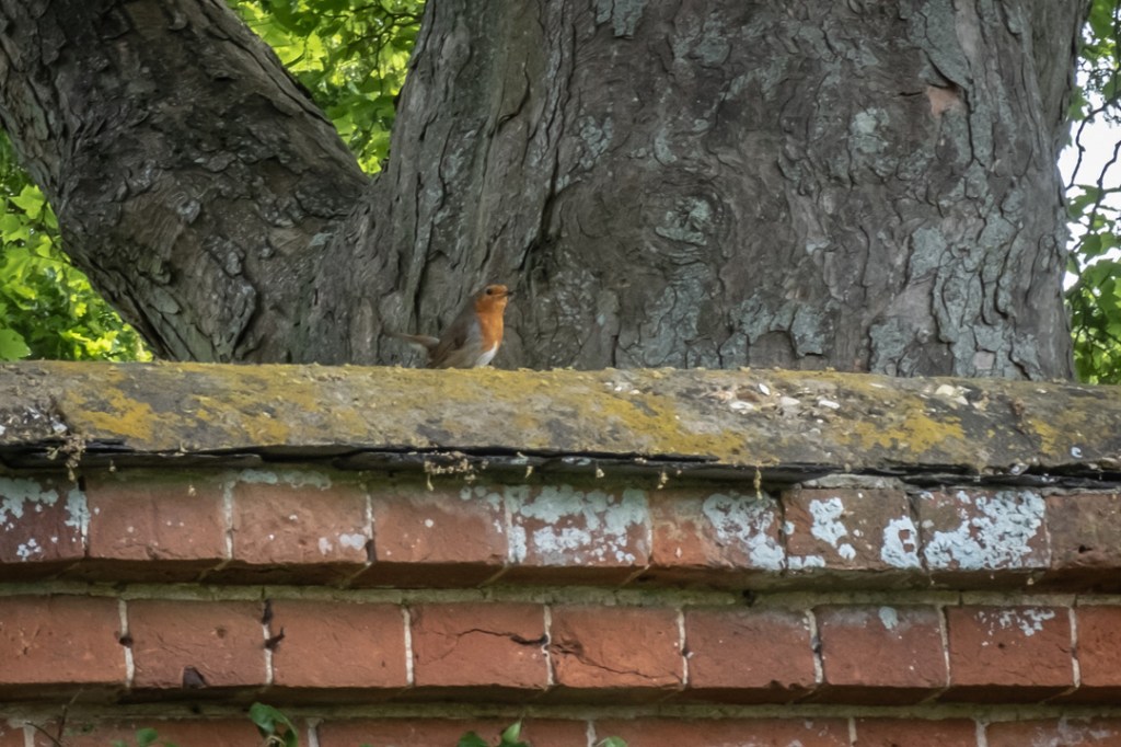 19th May 2019 –&nbsp;Mottisfont