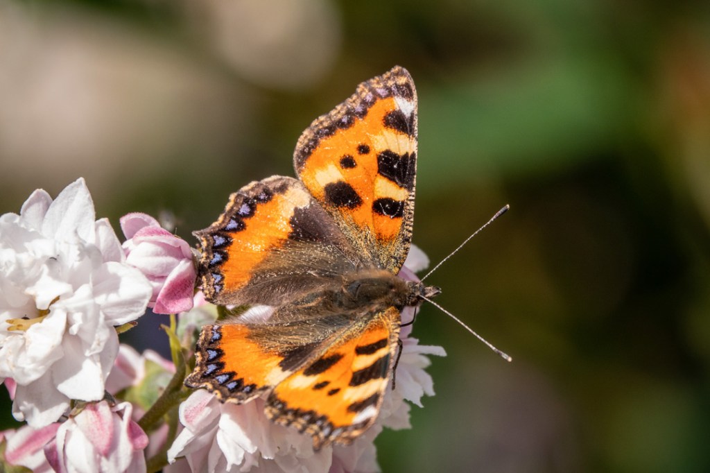 14th June 2019 – Maldon,&nbsp;Essex