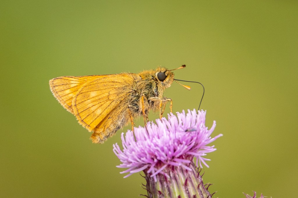 17th July 2019 – out and&nbsp;about