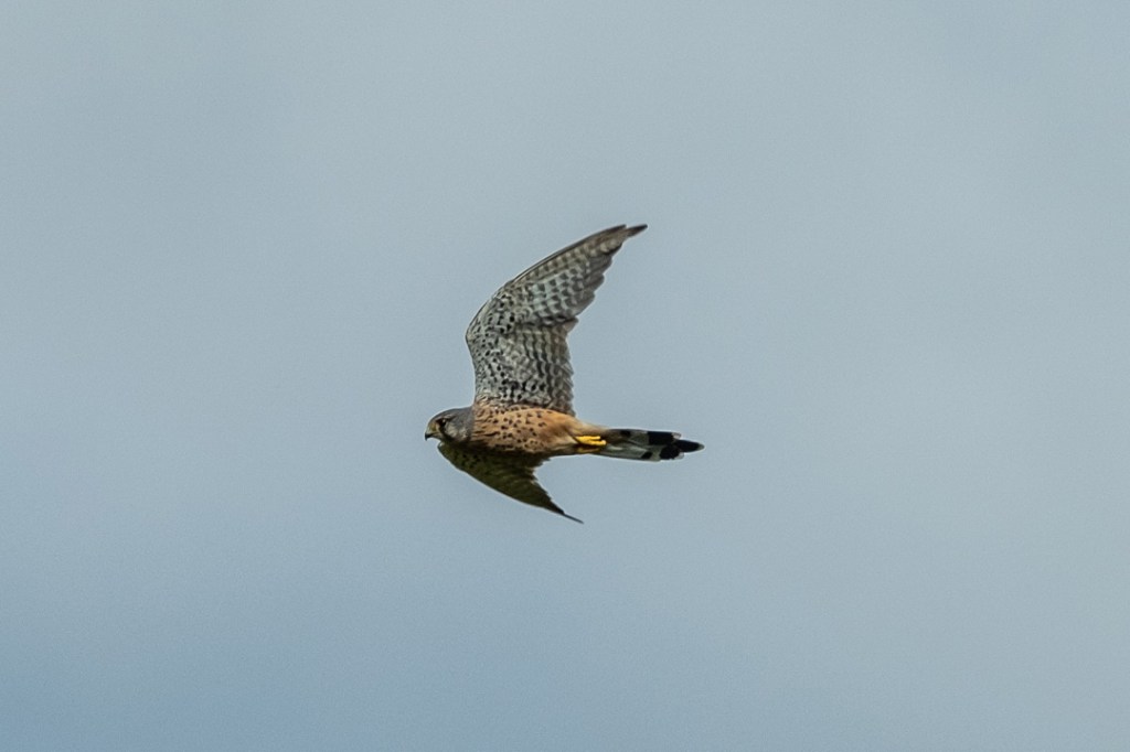 28th July 2019 – Stoke Park Estate,&nbsp;Bristol