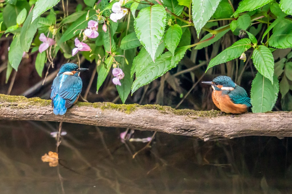25th August 2019 – Eastville&nbsp;Park