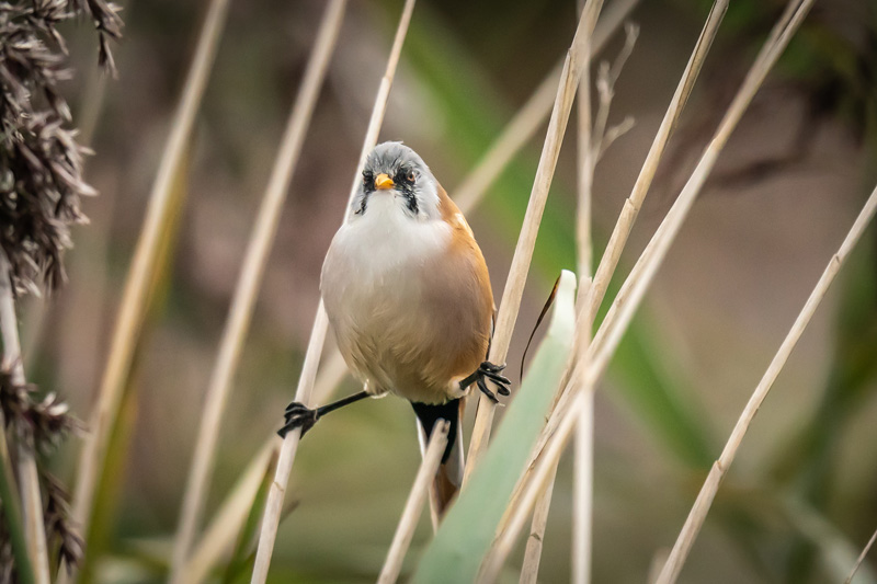 7th September 2019 –&nbsp;Dorset