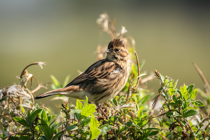 19th September 2019 – Stoke Park Estate,&nbsp;Bristol