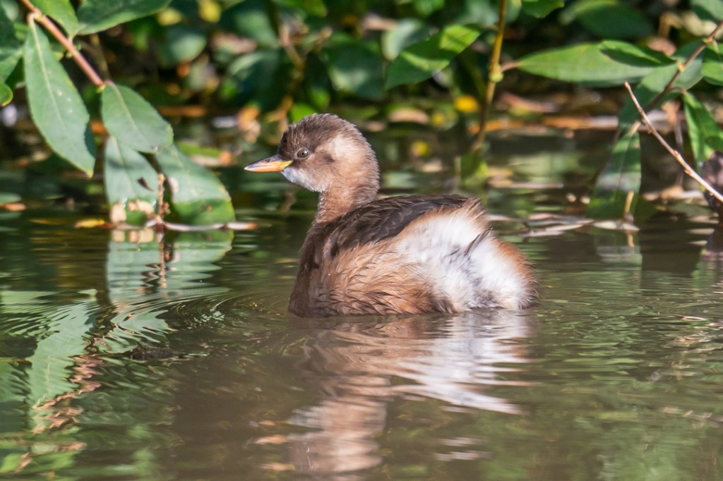 22nd October 2019 – Stoke Park Estate,&nbsp;Bristol
