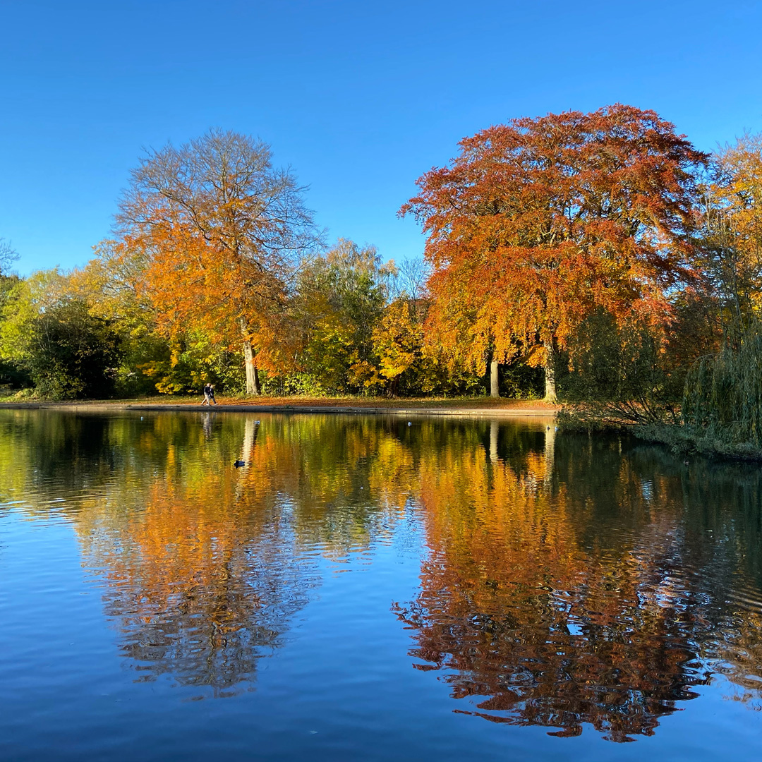 08960242-C0F5-40B0-9509-01C54750089F