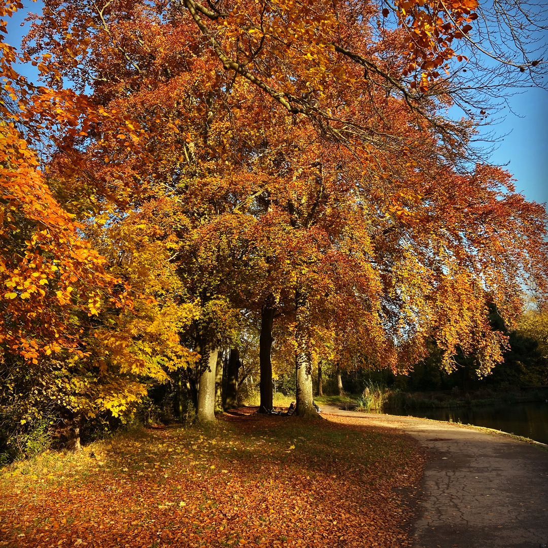 7E570F82-CA2F-4F8F-B715-FA6C62458D20