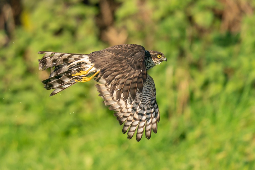 16th November 2019 – Stoke Park Estate,&nbsp;Bristol