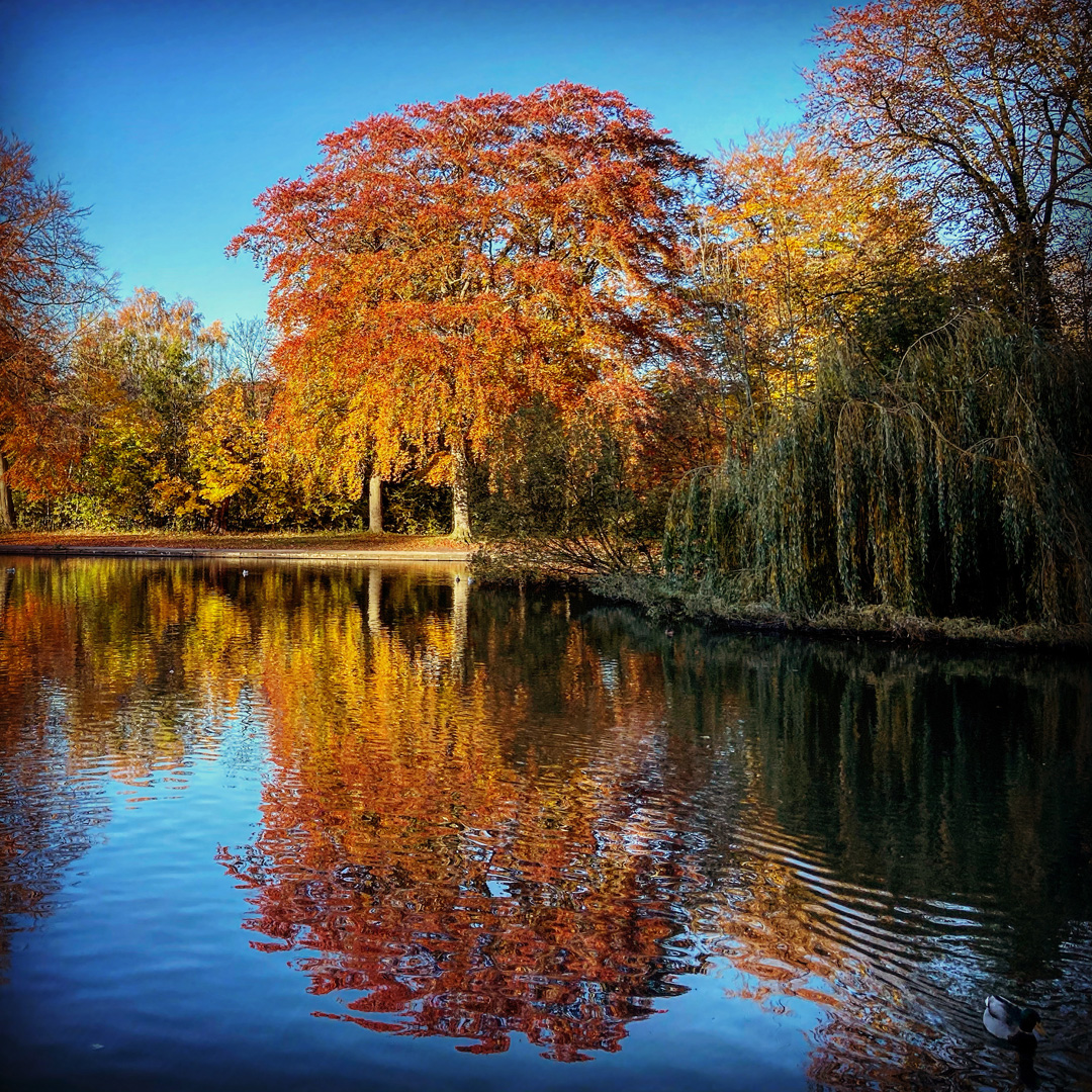 EF02D58E-6B8D-48D6-97A6-BF3F111FA38F