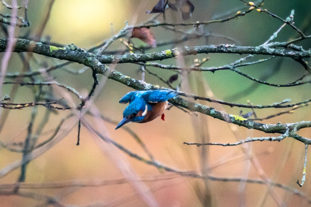 2nd December 2019 – Eastville Park,&nbsp;Bristol