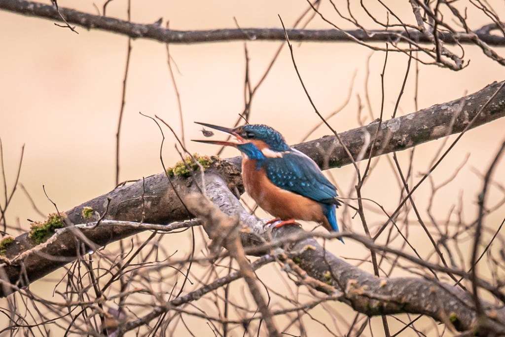 5th December 2019 – Eastville Park,&nbsp;Bristol