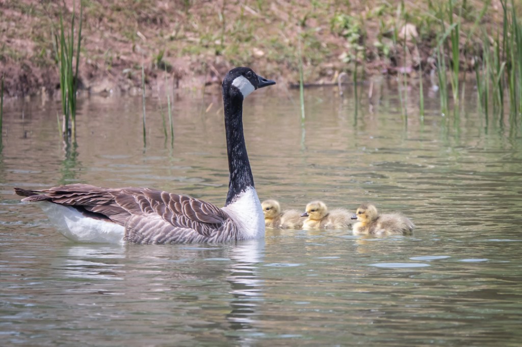 16th May 2020 – Stoke Park Estate, Bristol