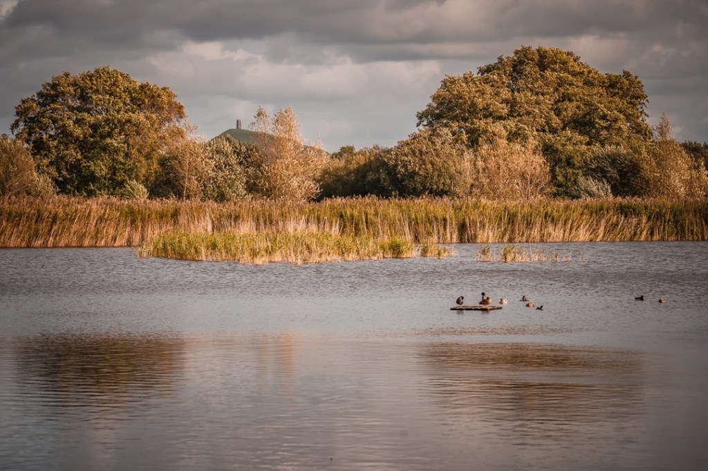 9th October 2020 – Somerset&nbsp;Levels