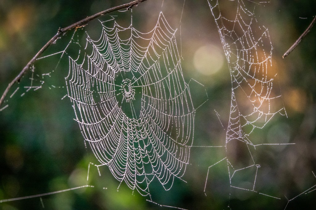 22nd November 2020 – Stoke Park Estate,&nbsp;Bristol