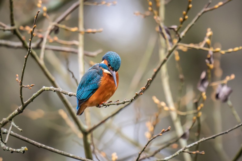 This image has an empty alt attribute; its file name is dsc02074.jpg