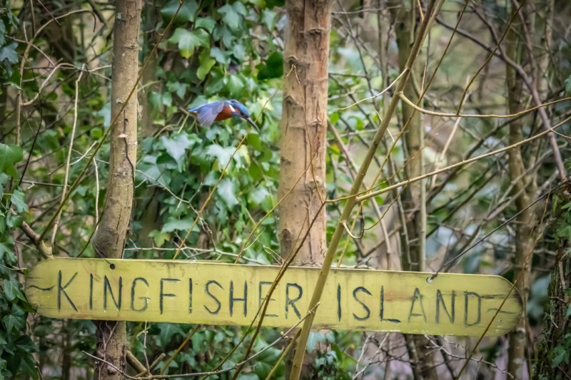 This image has an empty alt attribute; its file name is dsc03715.jpg