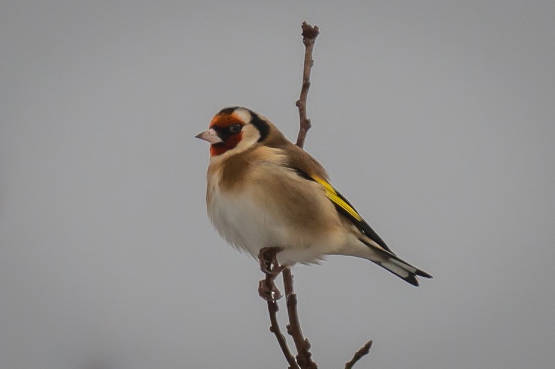 This image has an empty alt attribute; its file name is dsc03962.jpg