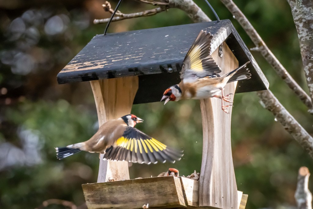 This image has an empty alt attribute; its file name is dsc04292.jpg