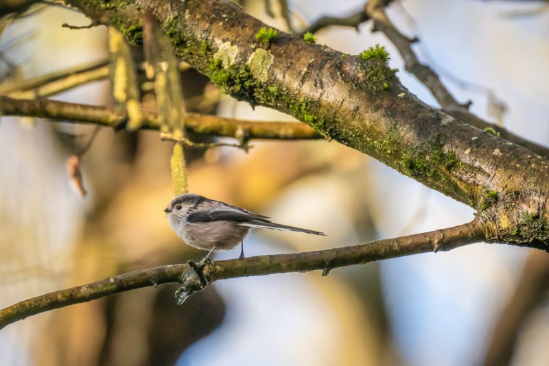 This image has an empty alt attribute; its file name is dsc04449.jpg