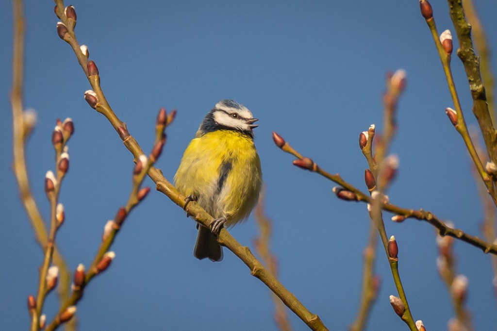 This image has an empty alt attribute; its file name is dsc05298.jpg