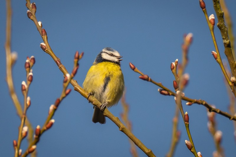 This image has an empty alt attribute; its file name is dsc05298.jpg