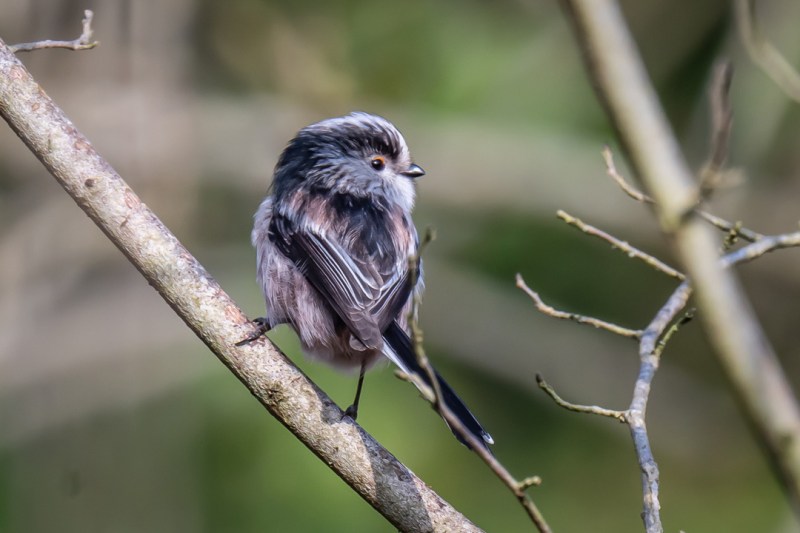 This image has an empty alt attribute; its file name is dsc05739.jpg