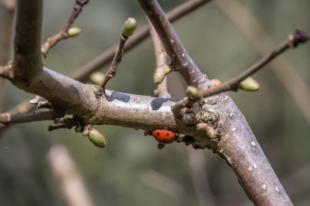 This image has an empty alt attribute; its file name is dsc05826.jpg