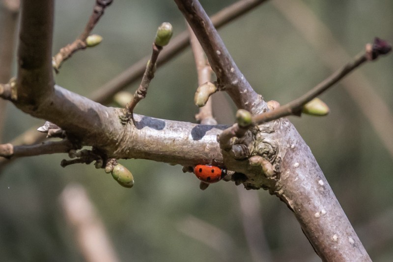 This image has an empty alt attribute; its file name is dsc05826.jpg