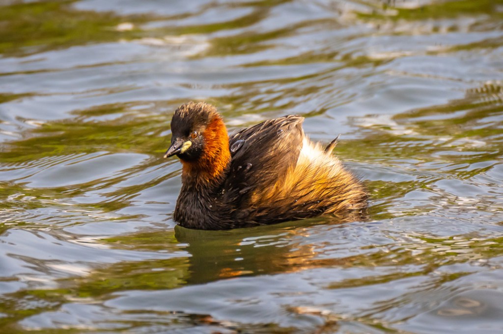 This image has an empty alt attribute; its file name is dsc06755-1.jpg