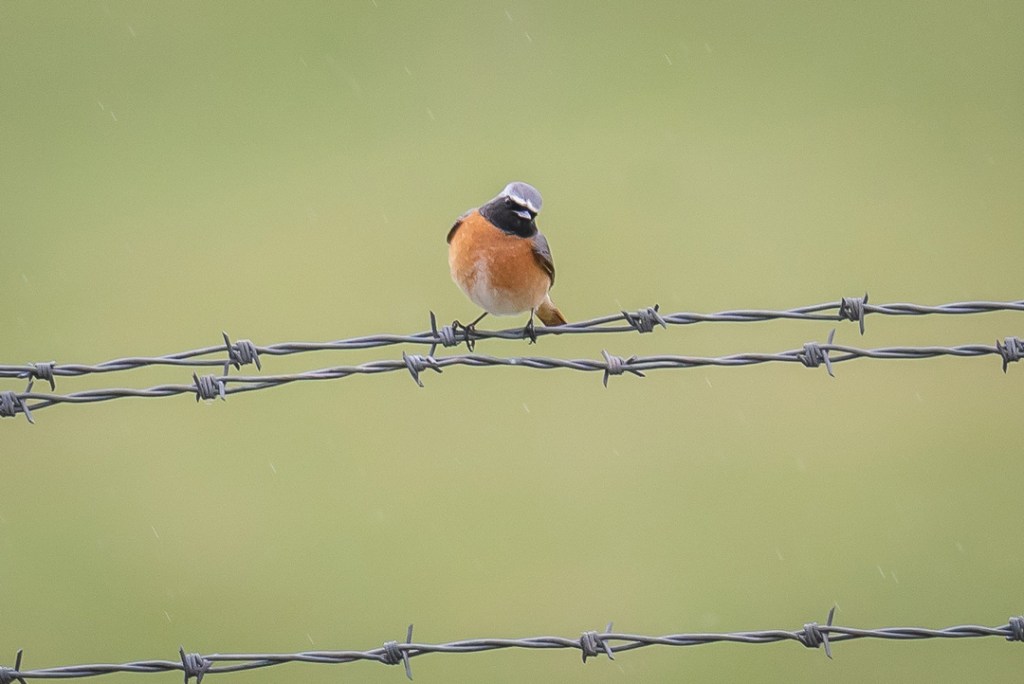 This image has an empty alt attribute; its file name is dsc03728.jpg